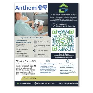 Anthem Flier Pack of 100
